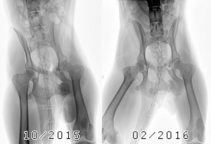 vorher-nachher-jenna