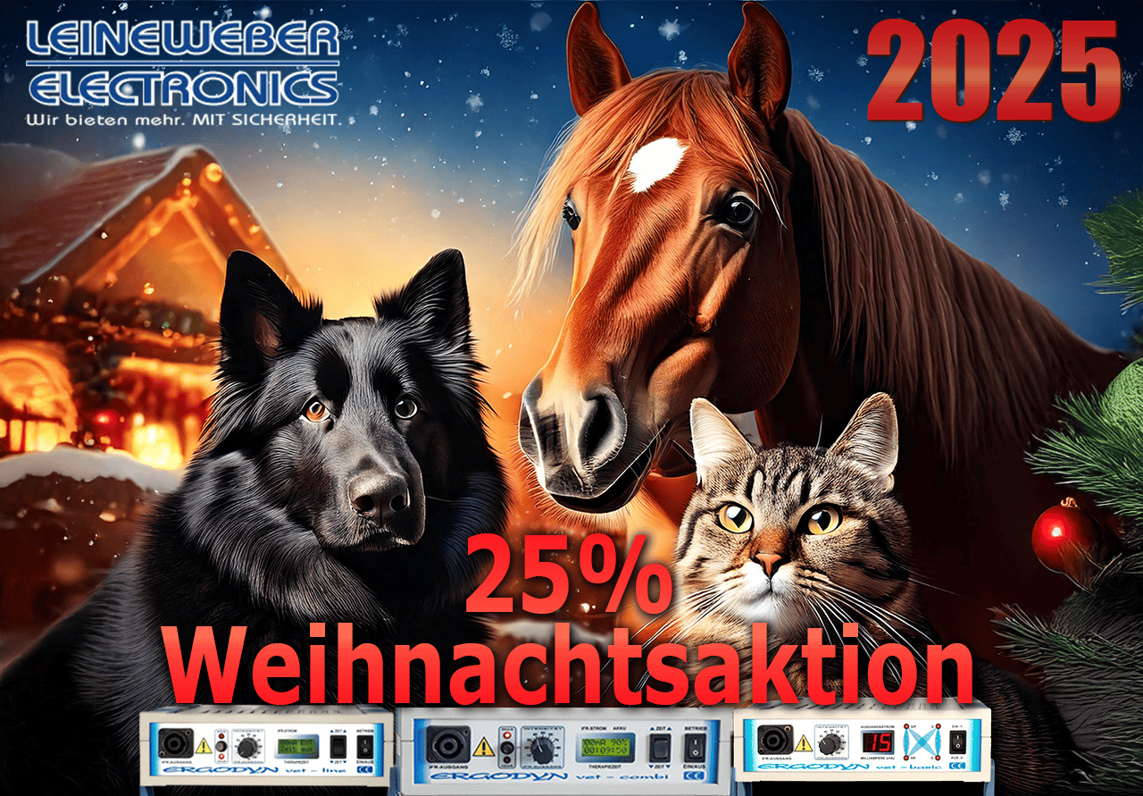 Weihnachtsaktion 2025
